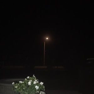 Meet your Posher, Laurie